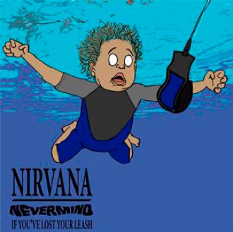 NIRVANA NEVERMIND COVER